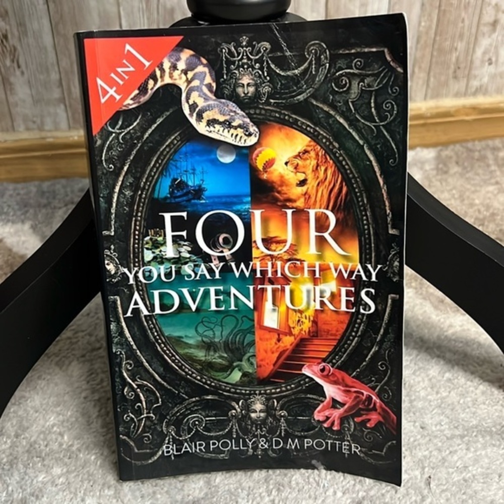 Four You Say Which Way Adventures Paperback
